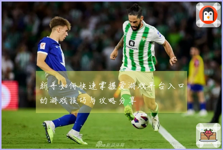 新手如何快速掌握爱游戏平台入口的游戏技巧与攻略分享