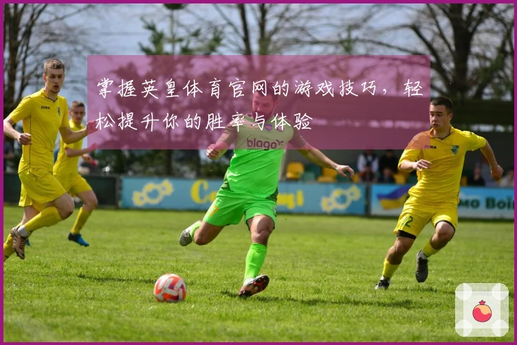 掌握英皇体育官网的游戏技巧，轻松提升你的胜率与体验